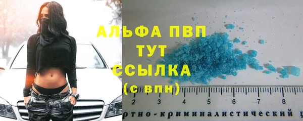 шишки Алзамай
