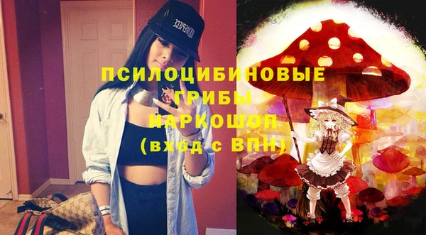шишки Алзамай