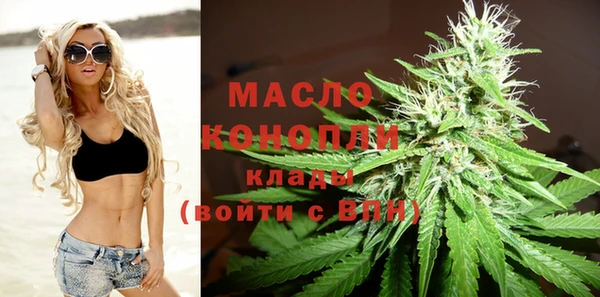 шишки Корсаков