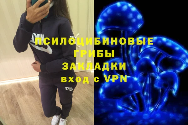 шишки Алзамай