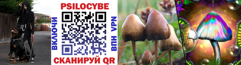 Галлюциногенные грибы ЛСД  Тара 