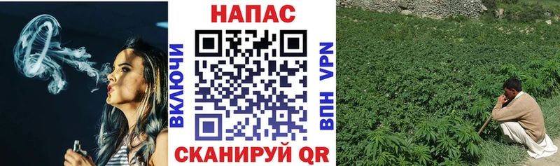 где найти наркотики  Тара  Бошки марихуана планчик 